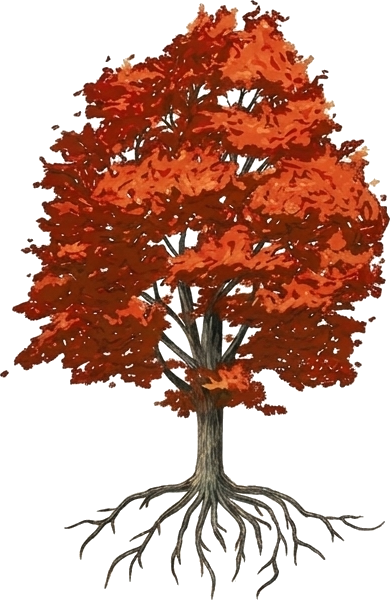 Tuckaway Woodworks tree icon